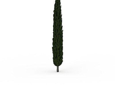 现代其他景观小品 园林松树