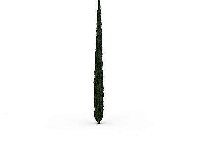 现代其他景观小品 叶针形柏树