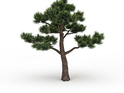 现代其他景观小品 针叶松树