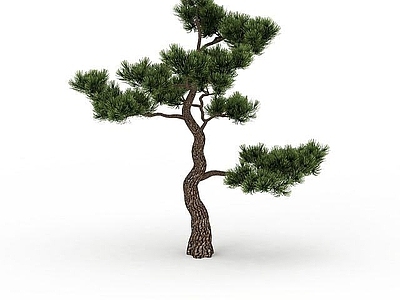 现代其他景观小品 观赏松树