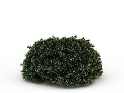 现代其他景观小品 景观树