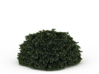 现代其他景观小品 绿化树