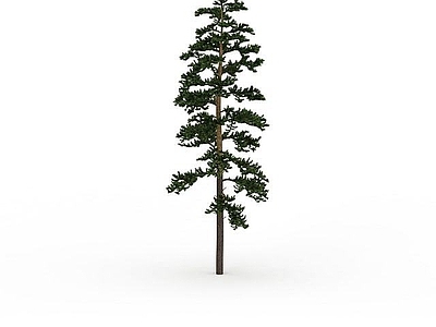 现代其他景观小品 园林树