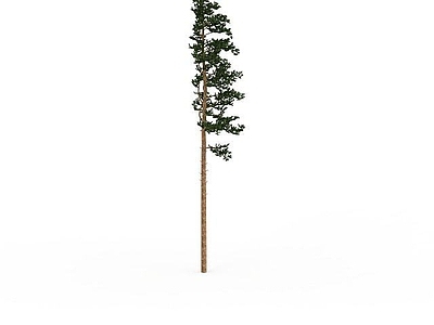 现代其他景观小品 公园绿化树
