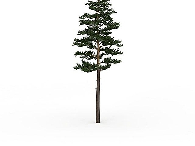 现代其他景观小品 公园松树