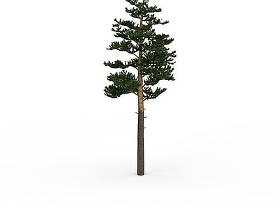 现代其他景观小品 园林景观树