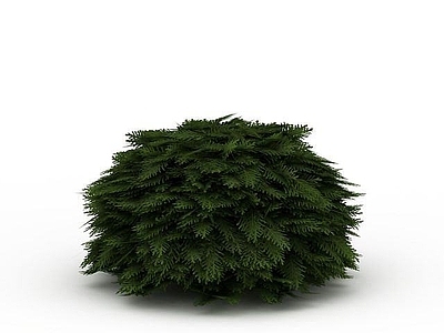 现代灌木 道路绿色植被