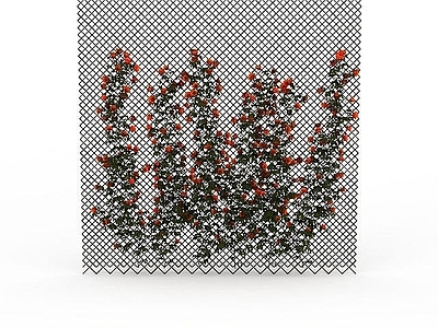 现代直播间 橘色观赏植被