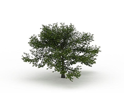 现代其他景观小品 室外绿树