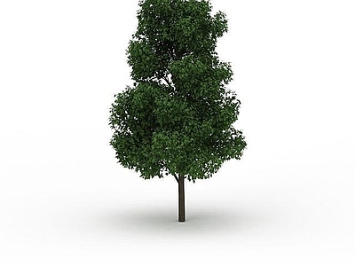 现代其他景观小品 景观树