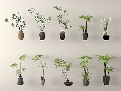盆栽 盆栽 盆景 家居绿植组合