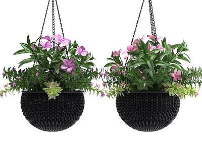 花 现代花卉 花朵吊篮 室内装饰花卉