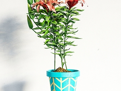 花 鲜花绿植 现代鲜花 鲜花插花