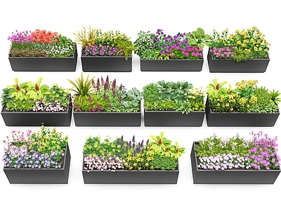 植物组合 花箱 外摆花箱 花坛花箱 植物盆栽 花草