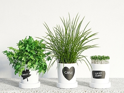 植物堆 室内观赏绿植 现代绿植 盆栽盆景