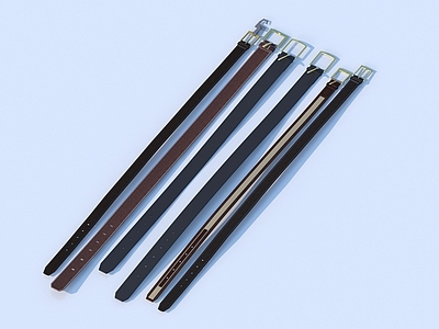其他生活用品 皮带 小品