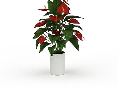 现代办公室装饰花