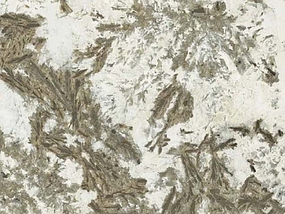 现代其他瓷砖 地砖