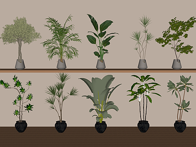 盆栽 绿植盆栽组合