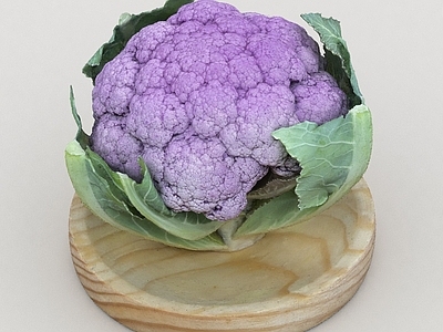 酒水食物 餐食品