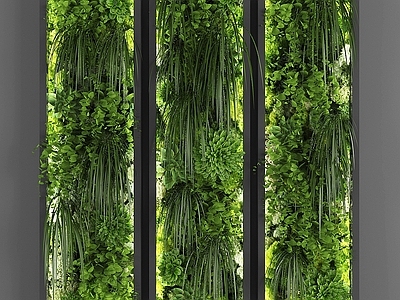 绿植墙