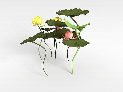 现代佛龛 荷花