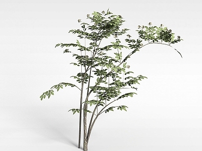 现代办公桌 落叶植被