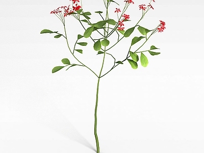 现代佛龛 红花植物