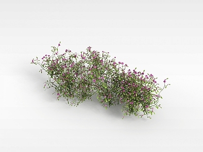 现代佛龛 景观花草植被