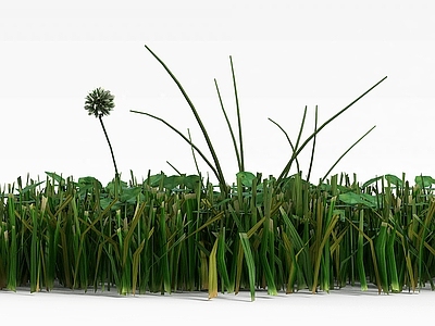现代佛龛 绿化植被