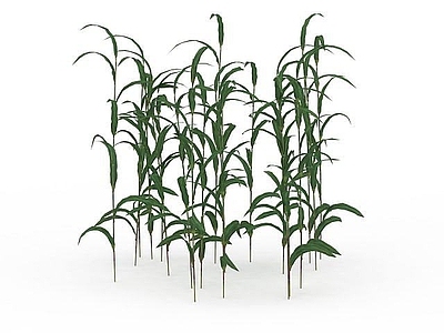 现代佛龛 绿化植物