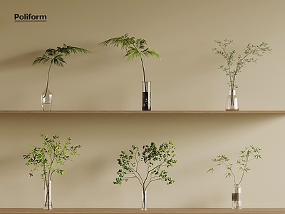 水生植物 现代水生植物