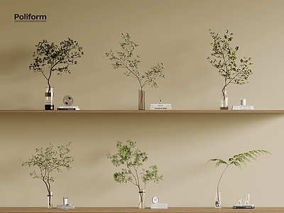 水生植物 现代水生植物