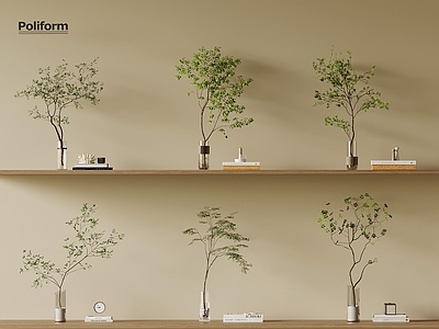 水生植物 现代水生植物