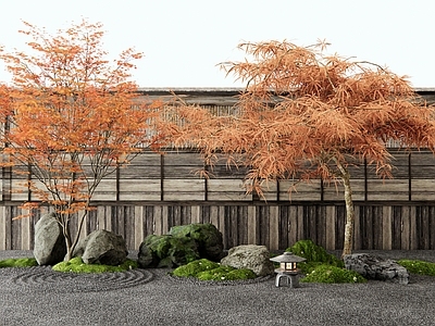 乔木 枫树 羽毛枫 景观石头 枯山水 庭院小品