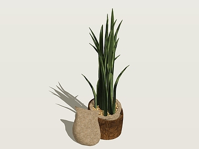 盆栽 虎尾兰 绿植盆栽 室内绿植摆件