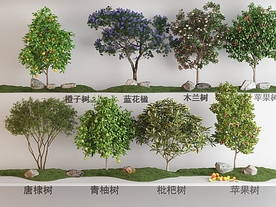 其他树木 现代果树植物组合 枇杷树青柚树 橙子树苹果树 木兰树蓝楹树 红果树唐棣树