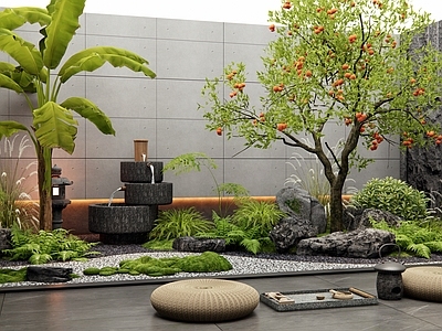 乔木 柿子树 橘子树 植物景观 天井室内景观 芭蕉