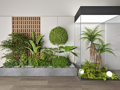 植物堆 室内绿植小景 绿植盆栽组合 室内小景观 场景绿植