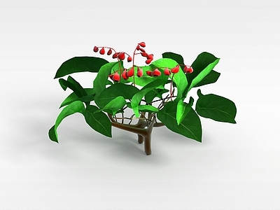 现代绿化花卉