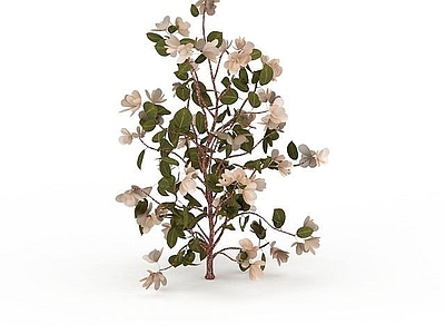 现代装饰花卉