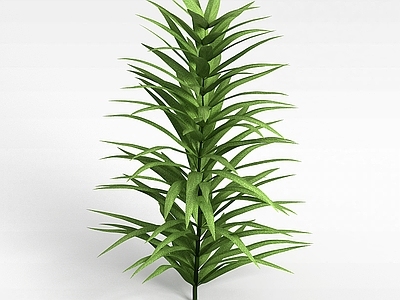 现代绿草