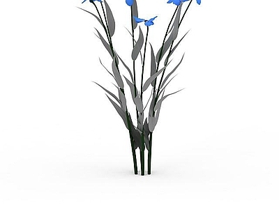 现代花草植物