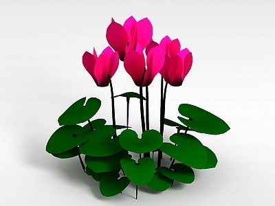 现代花朵鲜花