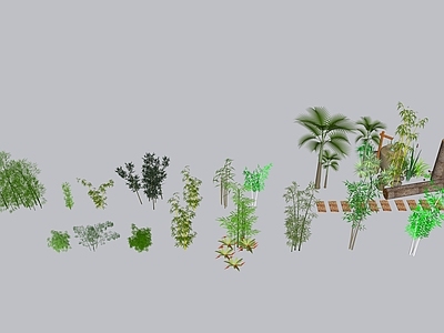 竹子 3d竹子 盆栽竹子 树池竹子