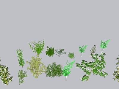 竹子 3d竹子 竹子从 树池竹子 盆栽竹子