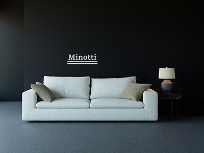 中古简约双人沙发 中古风沙发 双人沙发 休闲沙发 直排沙发 minotti沙发