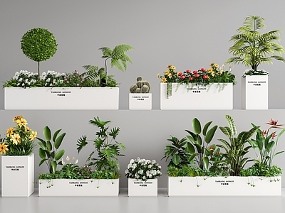 花箱 外摆花箱 盆栽 花池花坛 植物组合 景观造景