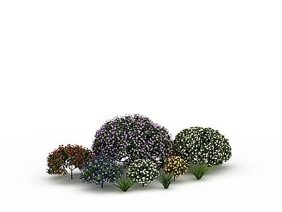 现代办公桌 花果林