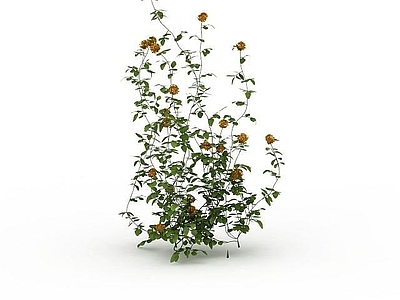 现代佛龛 花草滕蔓